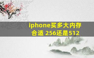 iphone买多大内存合适 256还是512